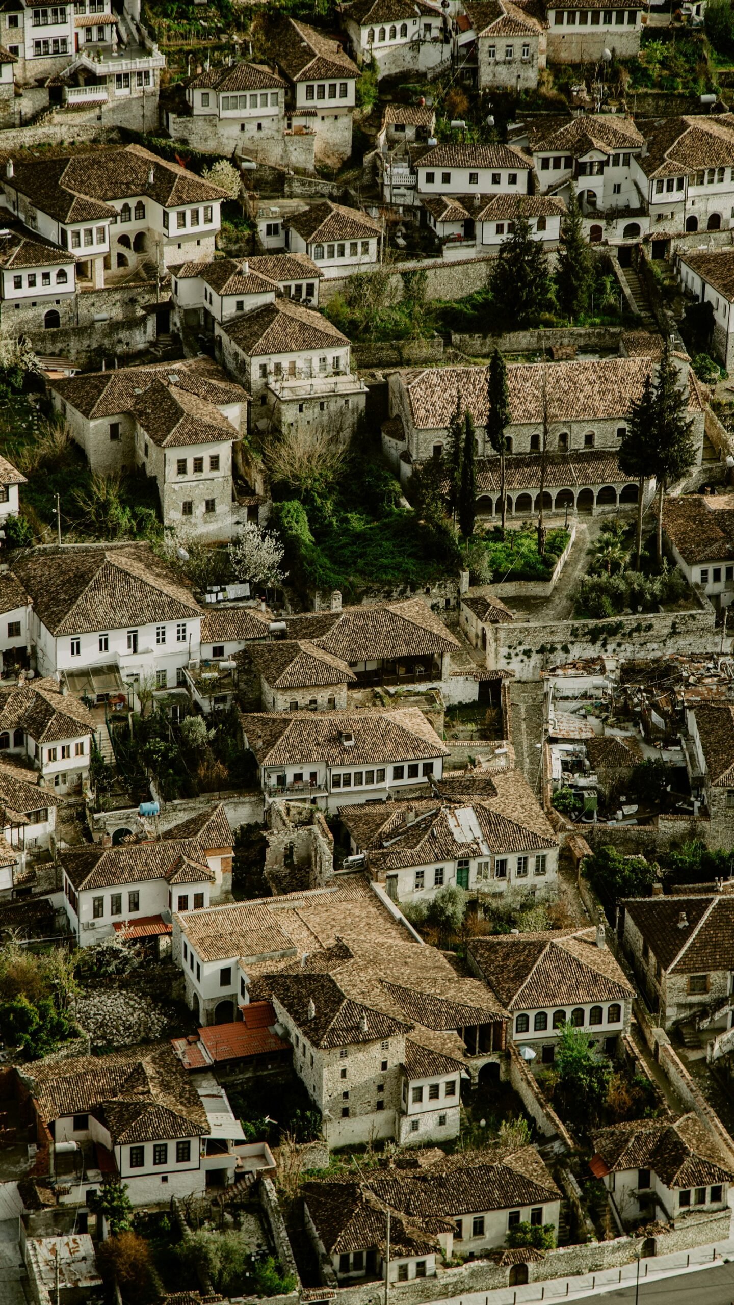 Blick über die weißen Häuser der Altstadt von Berat